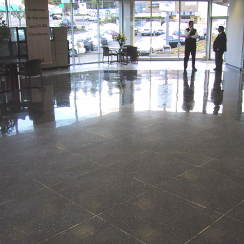 lexus in process.jpg