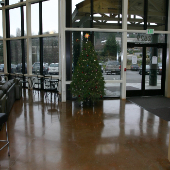 AllStar Fitness 4.jpg