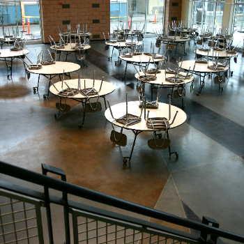 學(xué)校經(jīng)典案例