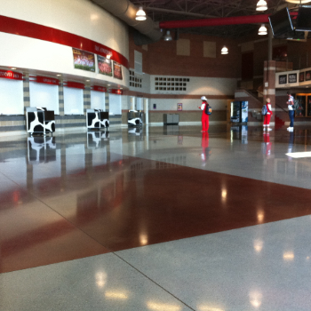 學(xué)校經(jīng)典案例